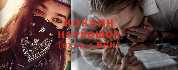 ПСИЛОЦИБИНОВЫЕ ГРИБЫ Козловка