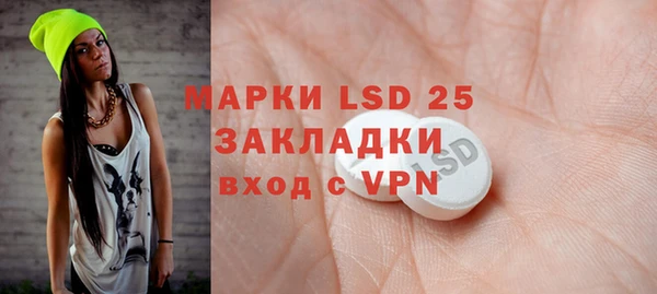 ПСИЛОЦИБИНОВЫЕ ГРИБЫ Козловка