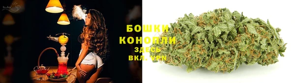 ПСИЛОЦИБИНОВЫЕ ГРИБЫ Козловка