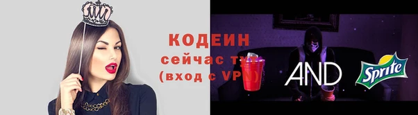 ПСИЛОЦИБИНОВЫЕ ГРИБЫ Козловка