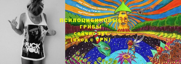прущие крисы Козельск