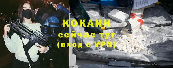 ПСИЛОЦИБИНОВЫЕ ГРИБЫ Козловка