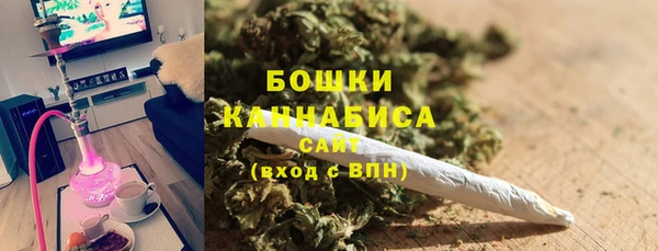 ПСИЛОЦИБИНОВЫЕ ГРИБЫ Козловка
