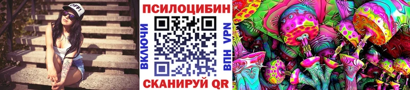 нарко площадка клад  Кирсанов  Галлюциногенные грибы Psilocybine cubensis 